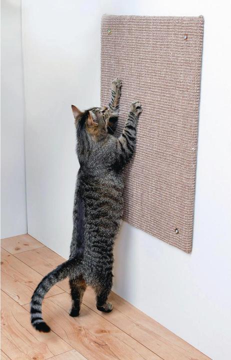 Image du produit Trixie planche à gratter (70 cm, Marron clair)
