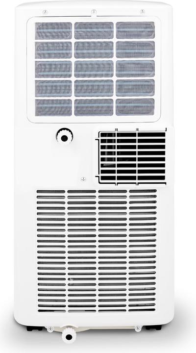 Actual product image Argo Swan Evo (7029.01 BTU/h)