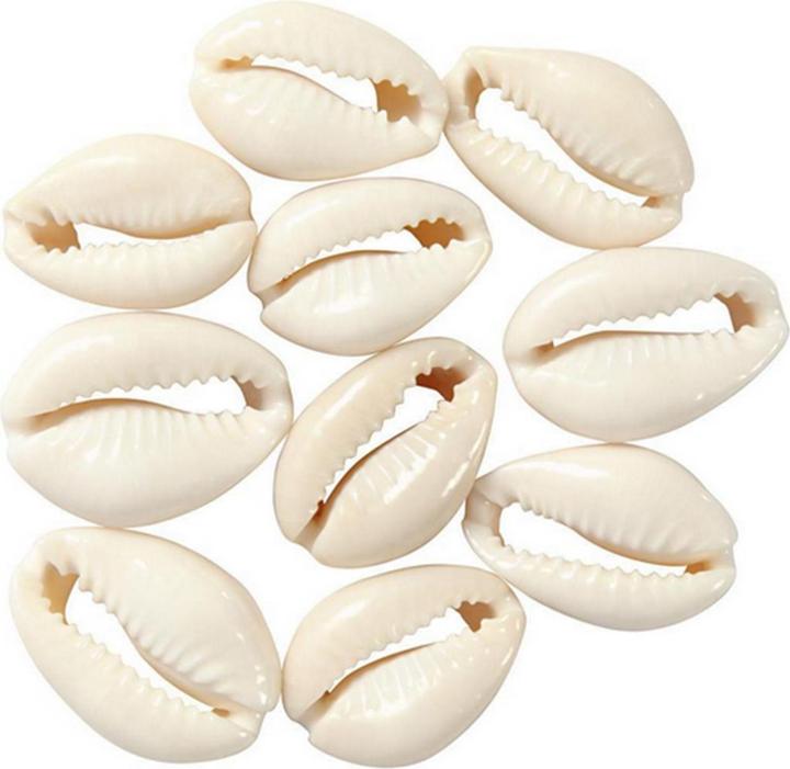 Actual product image Creativ Company Shell Beads
