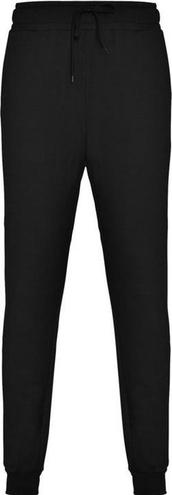 Actual product image Alpinia Mens Adelpho Trousers (XL)