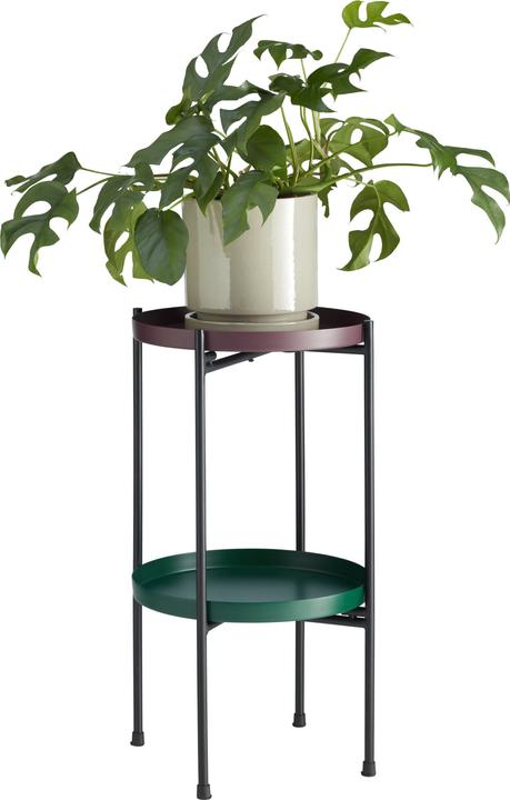 Image du produit micasa Elea