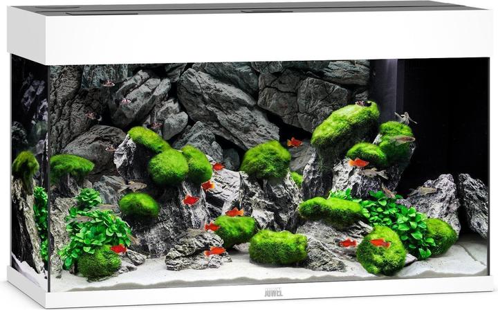 Produktbild Juwel Aquarium Rio (125 l)