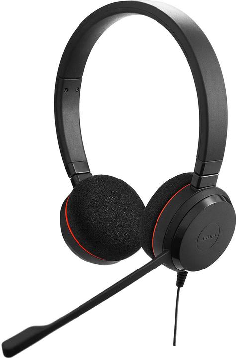 Actual product image Jabra Evolve 20 (Cable, USB-A)