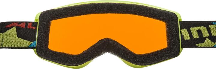 Actual product image ALPINA SPORTS Carvy 2.0