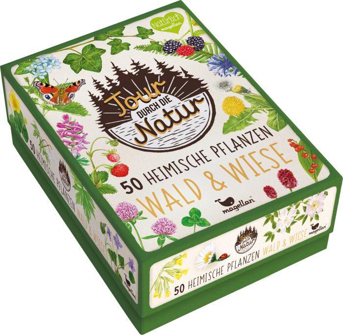 Produktbild Tour durch die Natur - 50 heimische Pflanzen - Wald und Wiese (Deutsch)
