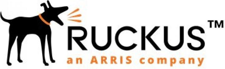 Immagine prodotto Ruckus Staffa di montaggio multiuso