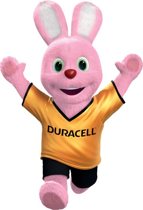 Image du produit Duracell Plus (4 pcs, AAA, 1175 mAh)