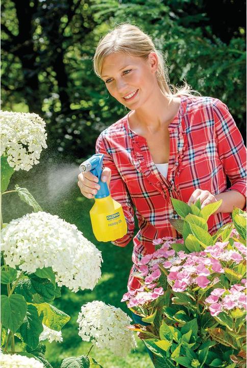 Productafbeelding Gloria Haus und Garten Pulvérisateur manuel Gloria Hobby 05 Flex flacon pulvérisateur de 0,5 L vaporisation sur tête (0.50 l)