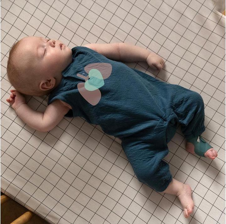 Image du produit Owlet Smart Sock 3 (Babyphone Audio, 30 m)