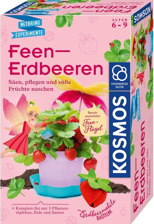 Kosmos Feen-Erdbeeren