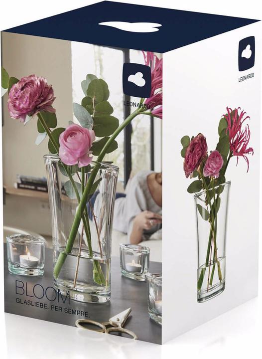 Produktbild Leonardo Bloom (1 x, 22.5 x 14.5 x 14.5 cm, 5.23 l)