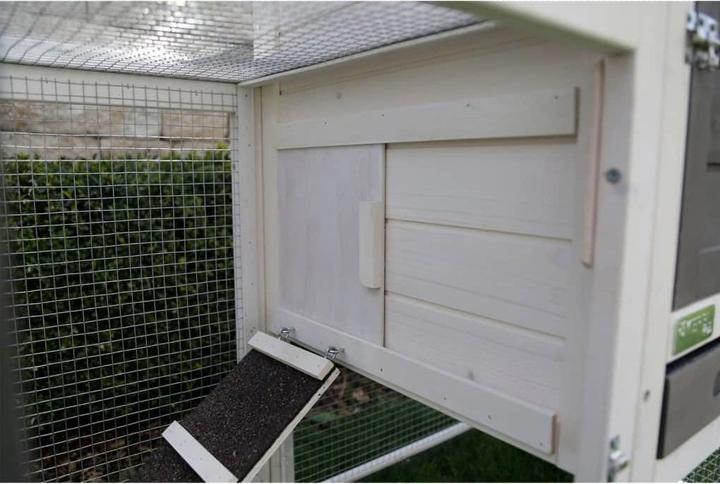 Actual product image Kerbl Rodent hutch Freetime Hatch, wooden house with free run, bitumen roof, replacement tray