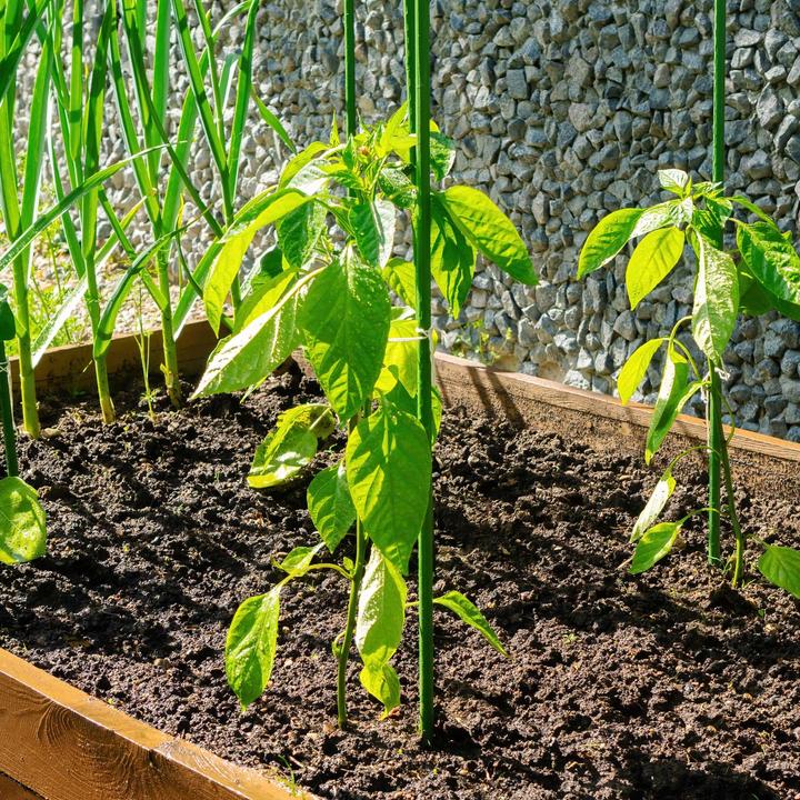 Actual product image Wiltec Toboli 10x plant sticks green 120cm Ø11mm trellis metal plastic tomato stake (120 cm, 1.10 cm)