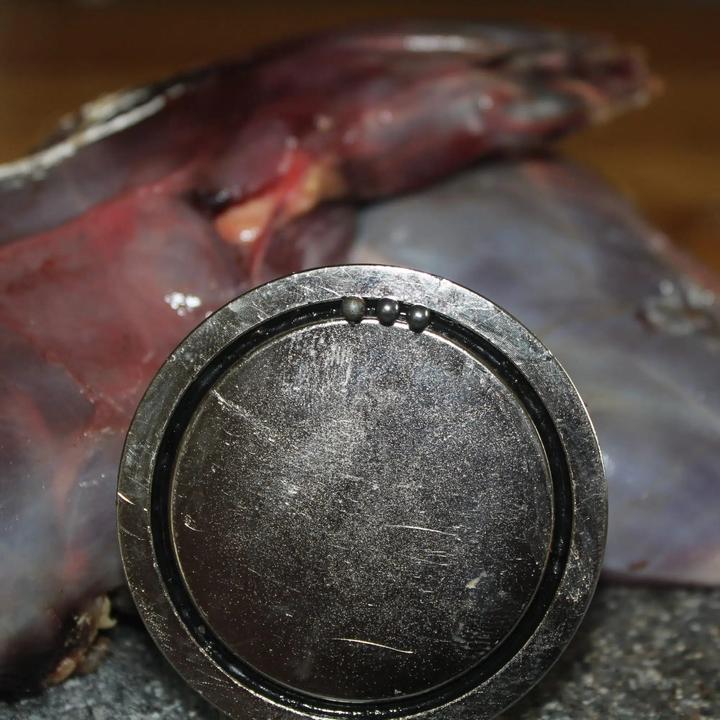 Actual product image Magnetar Hunting magnet hail magnet 200Kg - 8MM