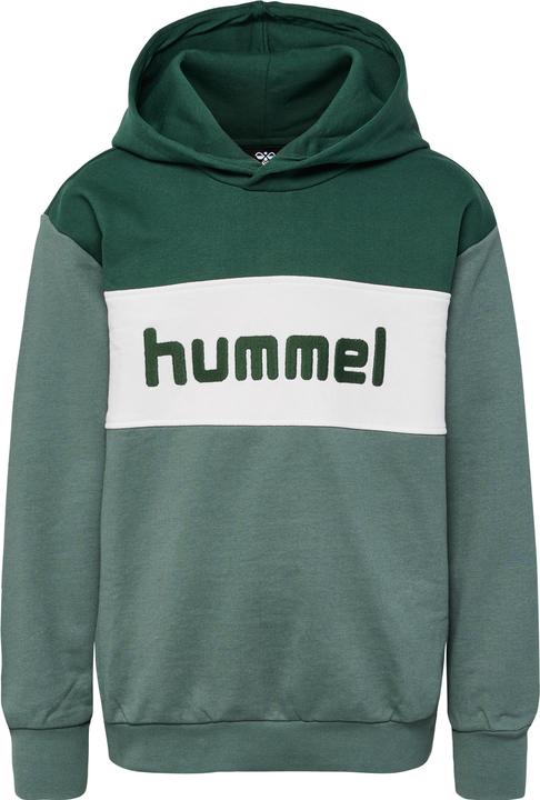 hummel hmlMORTEN HOODIE