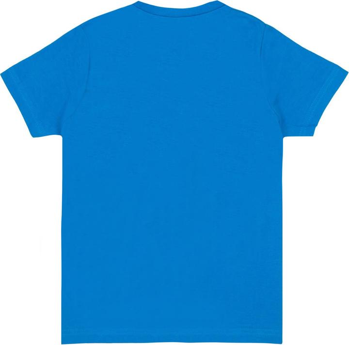 Actual product image Sonic The Hedgehog Boys Cartoon Character T-Shirt (146, 152)