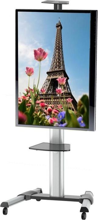 Produktbild Techly TV/LCD Wagen (Universal, 31", 50 kg)