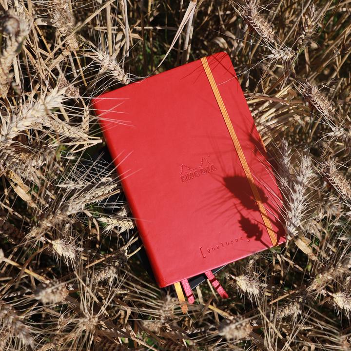 Immagine prodotto Rhodia Quaderni e quaderni Rho (A5, Quadretti, Copertina rigida)
