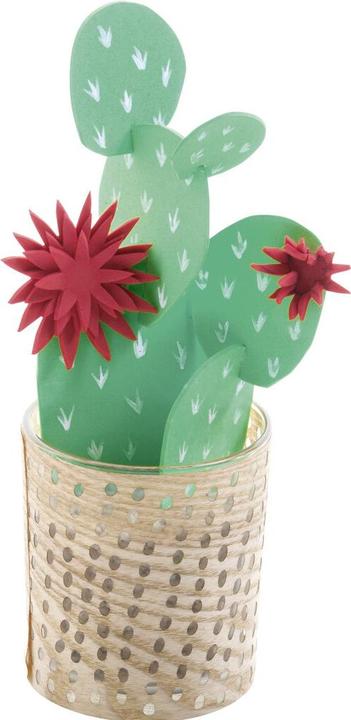 Actual product image Folia Foam rubber set