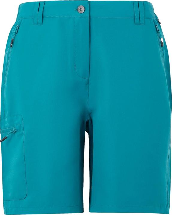 Regatta Chaska III Shorts Wandern
