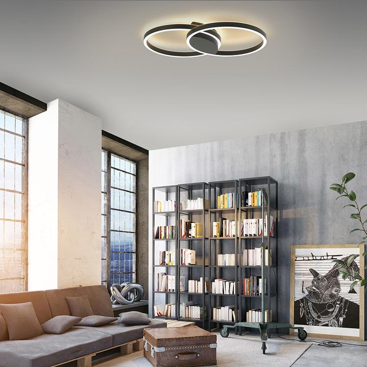 Immagine prodotto Paul Neuhaus Plafoniera LED Neuhaus 2700-5000K, RGB, bw 6145-18, 6145-18 (1500 lm)