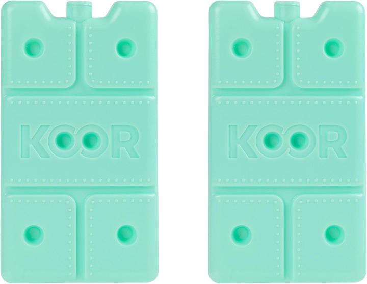 Koor Kühlelement Arctico S, Doppelpack Mint