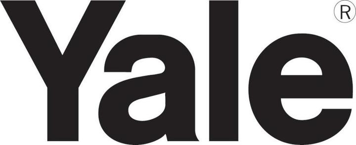 Actual product image Yale Lever hoist handy