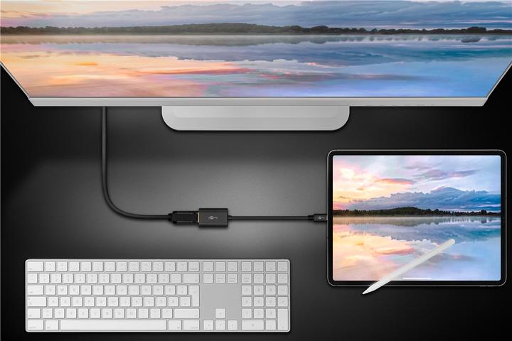 Actual product image Goobay USB C Adapter (DP, 20 cm)