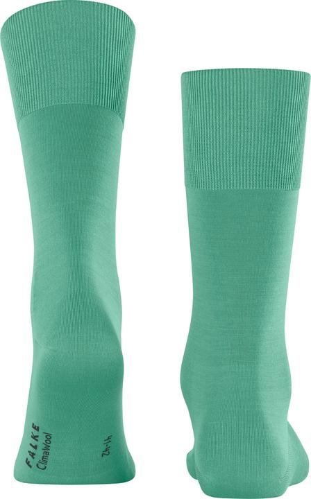 Actual product image Falke ClimaWool Men (43 - 44)