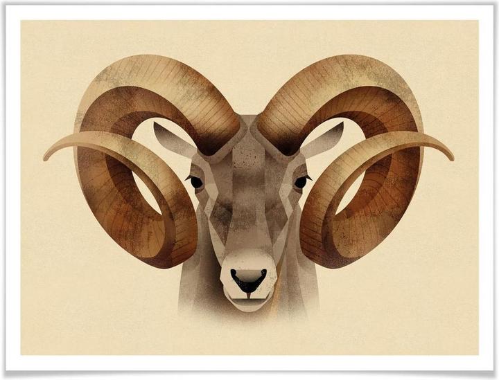 Image du produit Trenddeko Urial (50 x 40 cm)