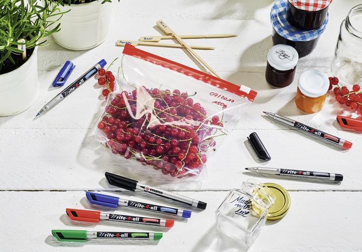 Actual product image STABILO Write-4-all permanent marker (Red, Blue, Black, Green, 1 mm, 4 x)