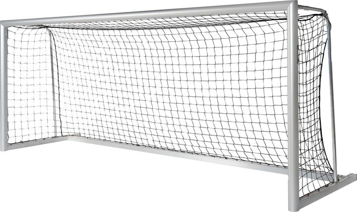 Sport-Thieme Jugendfussballtor aus Alu, 5x2 m, transportabel