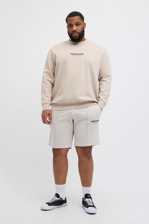 Immagine prodotto Jack & Jones Plus Size Loose Fit Sweat-Shorts Sweat-Shorts (40)
