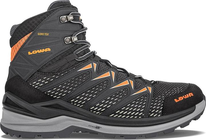 Image du produit Lowa Innox Pro GTX (45)