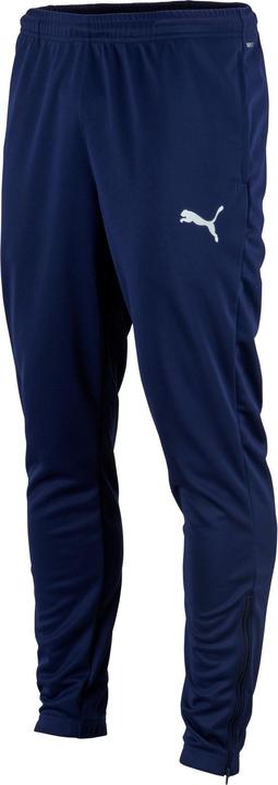 Actual product image Puma teamRISE Poly Training Pants-657390 (M)