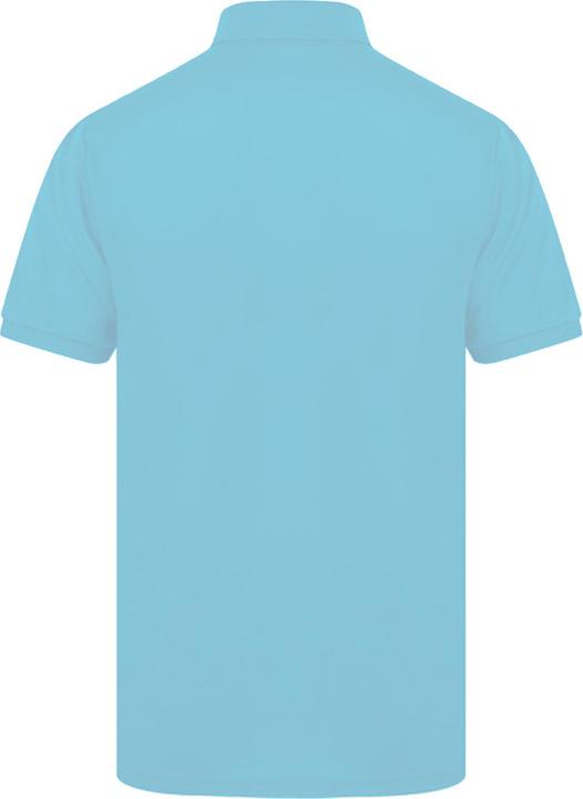 Actual product image Henbury Polo shirt short sleeve (S)