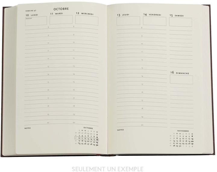 Immagine prodotto Paperblanks PAPERBLAN Agenda Taubengrau Maxi 25/26 DD0539-2 1W/2S 18M DE VER HC 13.5x21cm (13,5 x 21 cm, Tedesco)
