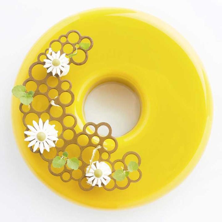 Image du produit Pavoni Moule à bosses en silicone Demi-lune Cercles