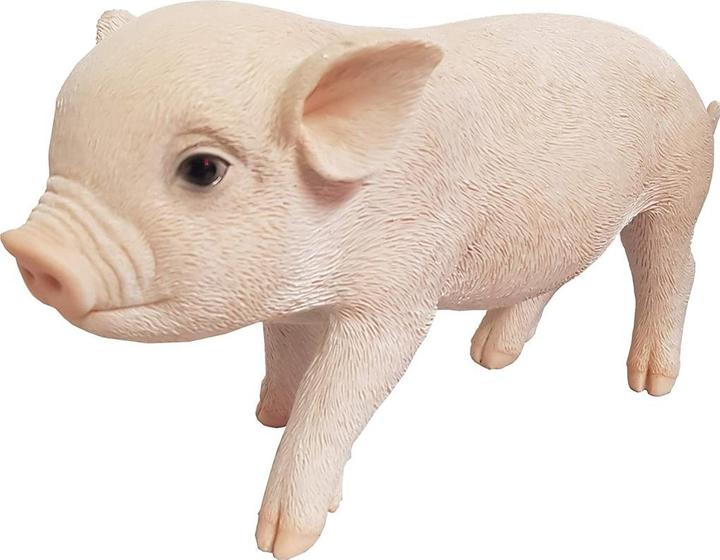 Image du produit Mini-porc