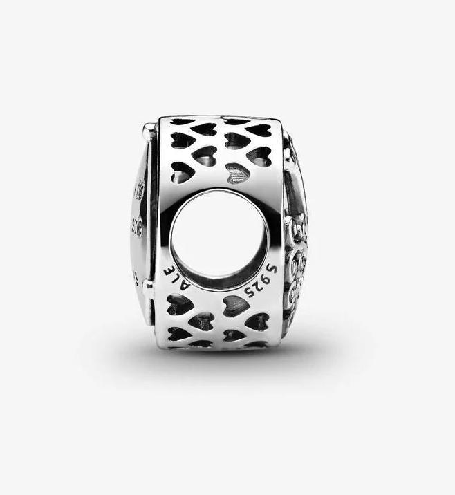 Image du produit Pandora Charm Hommage Familial (Argent)