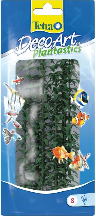 Actual product image Tetra Plantastics Plus Hygrophilia (Plants, Flora)
