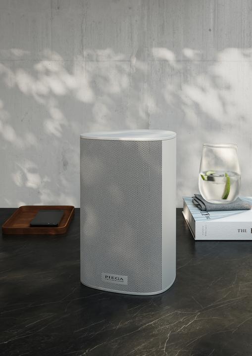 Actual product image Piega Ace 30 Wireless TX