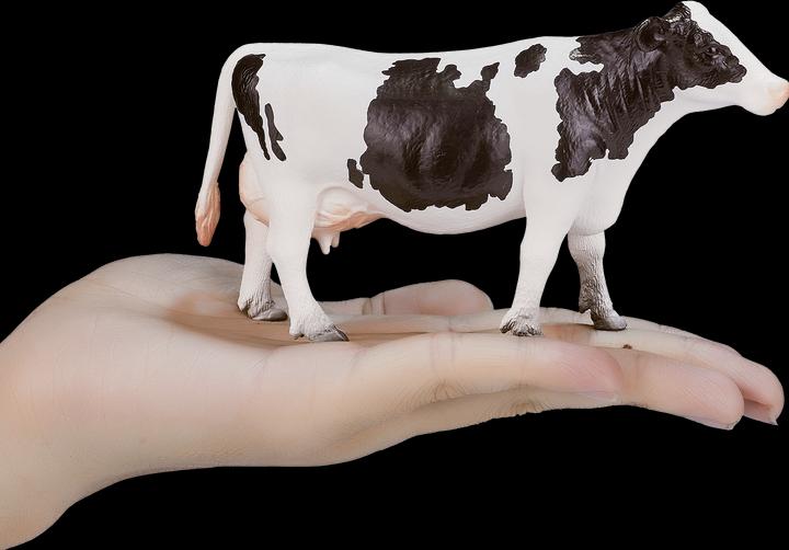 Actual product image Mojo Holstein cow
