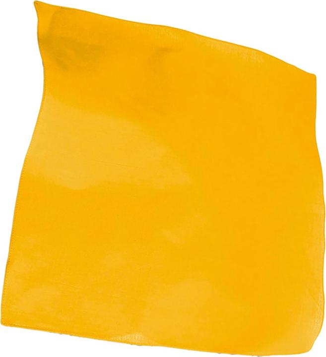 Image du produit Atlantis Goal Bandana