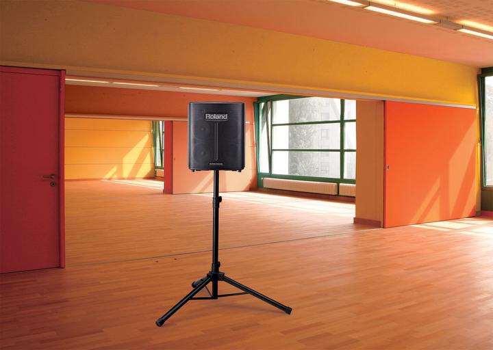 Image du produit Roland BA-330, Amplificateur de batterie, noir (30 W)