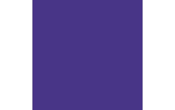Image du produit Amsterdam Peinture acrylique Standard Series (Violet outremer, 120 ml)