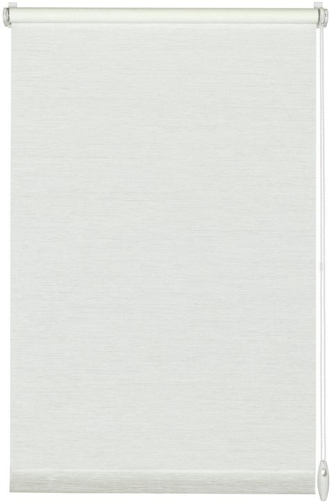 Produktbild Gardinia Natur (60 x 150 cm)