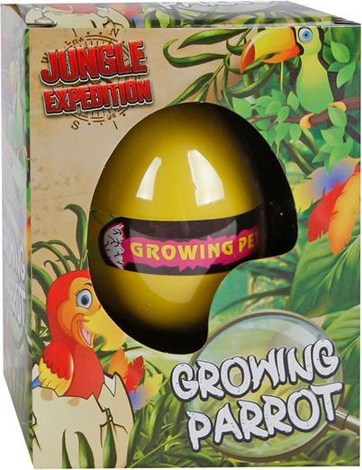 Actual product image Sombo Oeuf - Perroquet se former display