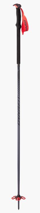Image du produit Dynafit Bâtons de ski Tour Pole (145 cm)