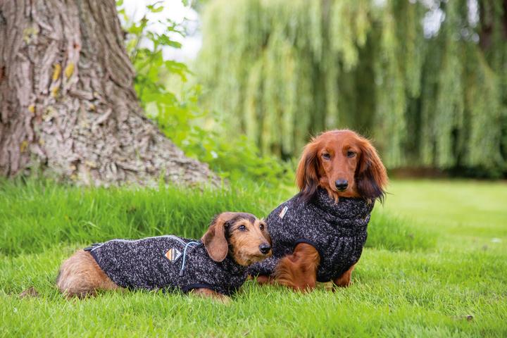 Actual product image Beeztees Celia (36, Dog jumper)
